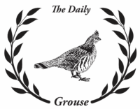 Daily Grouse